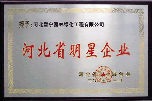 資質(zhì)證書(shū)